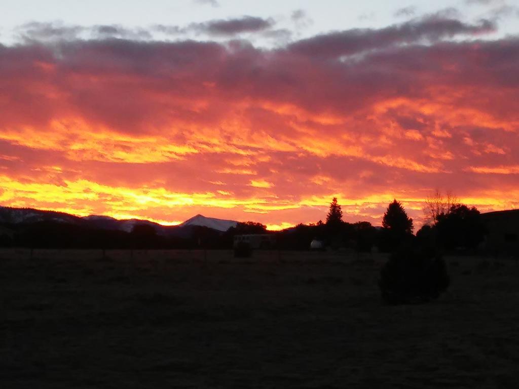 Blue Coyote Ranch Guest house Salida